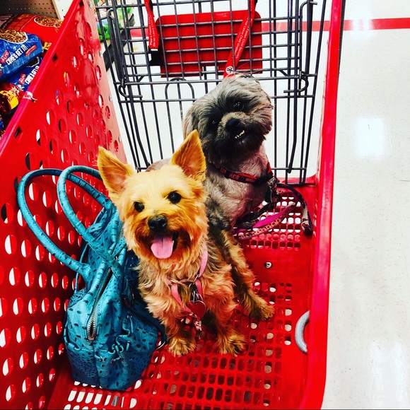 🌸🌸Meet your Posher, Sandra Lee🌸🌸💕. - Picture 6 of 16